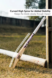 ZAP Besto Kashmir Willow Bat
